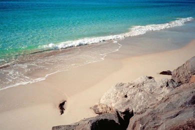 Florida Beach