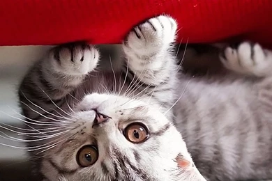 Wallpapers Full Hd 1080 X 1920 Smartphone Robot Space 3d   1080 X ...