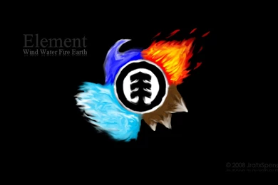 Skater Wallpapers   Picture Perfect