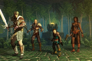 NEVERWINTER NIGHTS Rpg Fantasy Adventure Fighting Mmo Warrior ...