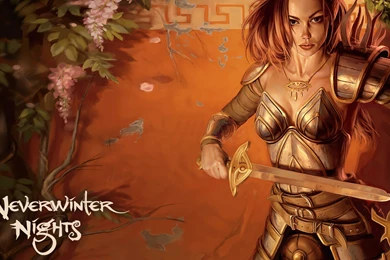 Download Elves Neverwinter Wallpapers 1600x900