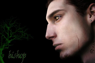 Bishop Neverwinter Nights 2 By LinuDarkFlame On DeviantArt