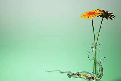 Animated Flower Powerpoint Template Free PPT Backgrounds For Your ...