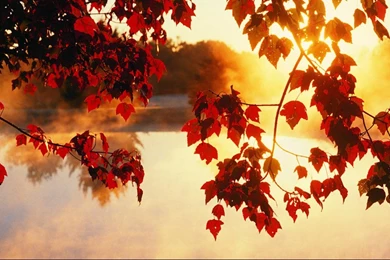 Nice Autumn Wallpaper desktop hd .jpg