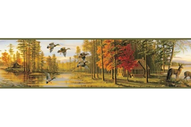 BBC35541B Green Quiet Evening Portrait Border   Autumn   Borders ...