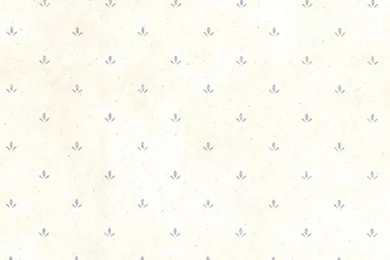 CTR66416 Blue Paw Print Texture  Josie  By Chesapeake Wallpapers