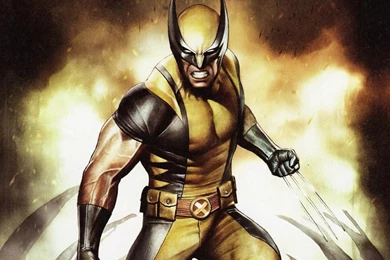 Wolverine Computer Wallpapers, Desktop Backgrounds