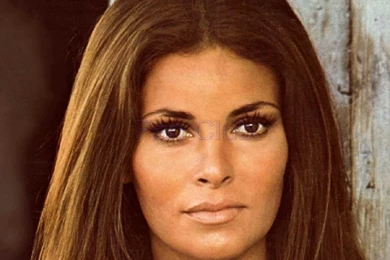 Raquel Welch Wallpapers   Wallpapers Cave