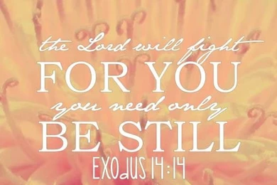 Thousands Of Ideas About My Phone Backgrounds On Pinterest