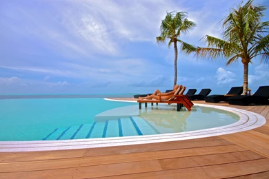 Water Drops Macro Roses Blue Rose Blue Flowers Drops Wallpapers ...