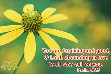 Abounding In Love To All Who Call On You   Psalm 85 Bible Verses ...