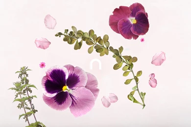 Nook Hd Backgrounds   All Wallpapers New