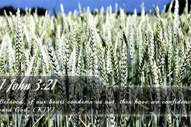 Nook Wallpapers   Free Nook Wallpapers HD 6