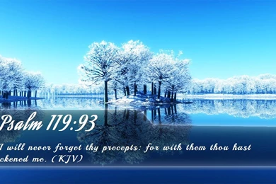 Nook Wallpapers   Free Nook Wallpapers HD 4