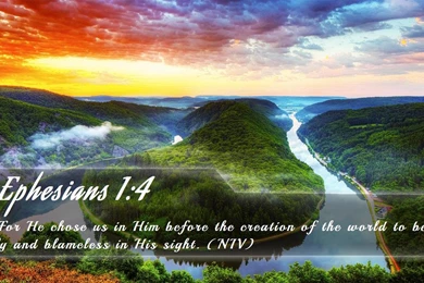 Nook Wallpapers   Free Nook Wallpapers HD 5