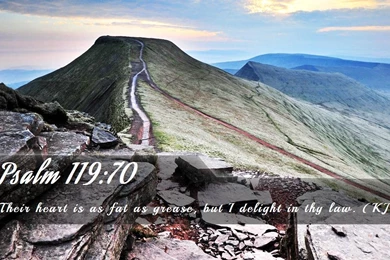 Nook Wallpapers   Free Nook Wallpapers HD 15