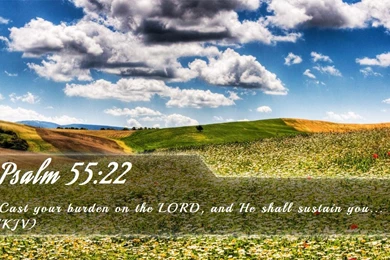 Nook Wallpapers   Free Nook Wallpapers HD 3