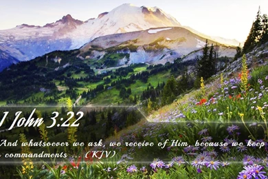 Nook Wallpapers   Free Nook Wallpapers HD 11