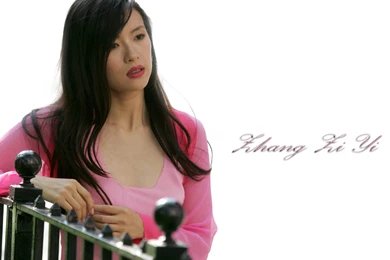 Zhang Ziyi   Zhang Ziyi Wallpapers (20732075)   Fanpop