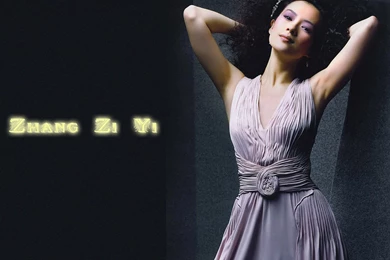Zhang Ziyi   Zhang Ziyi Wallpapers (20732205)   Fanpop