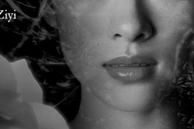 Best Dog Styles Trends