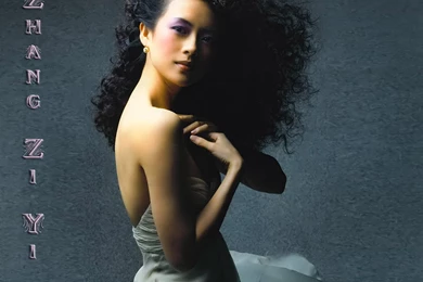 Zhang Ziyi   Zhang Ziyi Wallpapers (20732159)   Fanpop