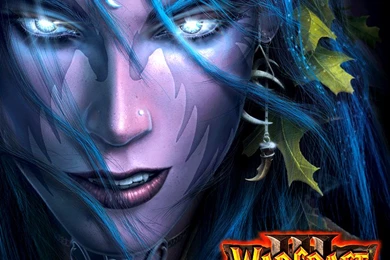 Warcraft 3   Wallpapers