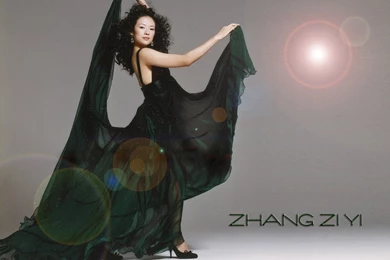 Zhang Ziyi Zhang Ziyi Wallpapers (20732106) Fanpop