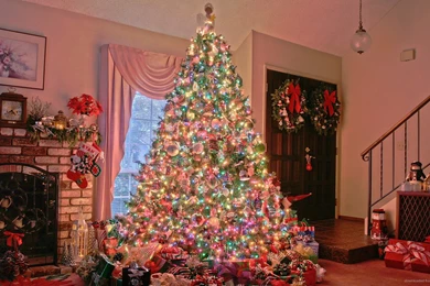 Christmas Tree Near Chimney Wallpapers For Google Nexus S