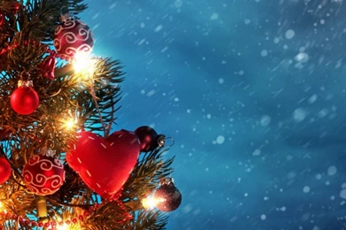 768x1280 Lovely Christmas Tree Nexus 4 Wallpapers