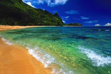 Beach World Hawaii Kauai