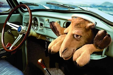 Funny Car Interior   (