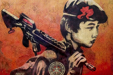 My Free Wallpapers   Artistic Wallpapers : Shepard Fairey