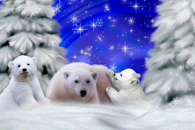 Wallpapers Hayden Winters Pije Kawe 1920x1080