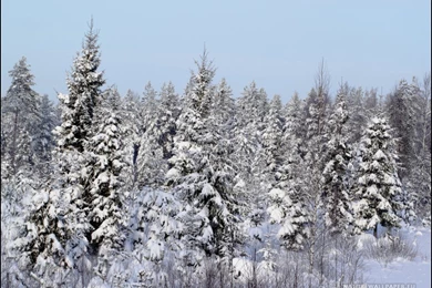 Latest Winters Wallpapers Download For Free