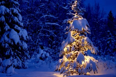 Free Holiday Desktop Wallpaper Backgrounds