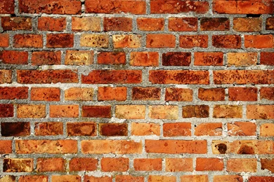 Brick Wall   (