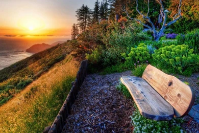 Most Popular Wallpapers