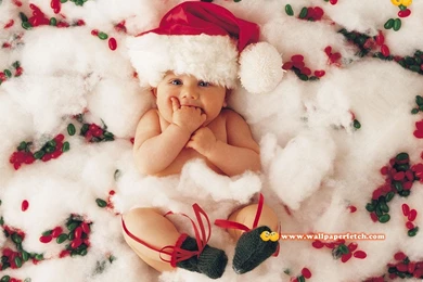 Cute Babies Wallpapers