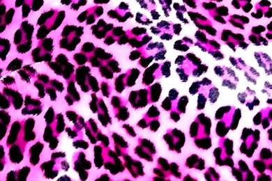 Pink Cheetah Wallpapers