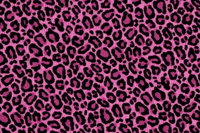 Pink Leopard Print Wallpapers
