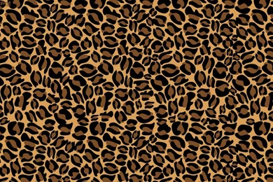 Unique Cheetah Print Wall Decor Ideas — Decor Trends