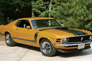 Ford Mustang Boss 429 1970   Image