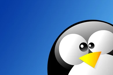 Linux Tux Wallpapers   Wallpapers Cave