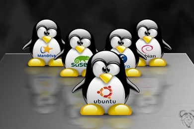 Tux Wallpapers Hd Free Download