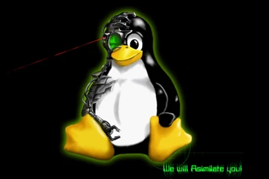 Kane Blog Picz: Wallpapers Tux Linux