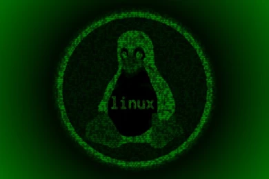 DeviantArt: More Like Green Binary Linux Tux Wallpapers By M0gria