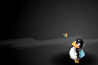 Linux Tux 1440×900 Wallpapers 963933