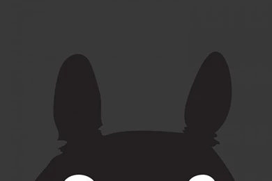 Download Totoro Iphone Wallpapers