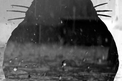 DeviantArt: More Like Totoro iPhone 5s Wallpapers By Owlboy68